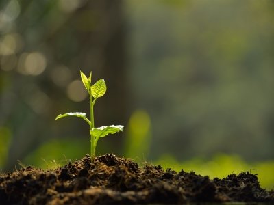Soil Amendment Calgary
